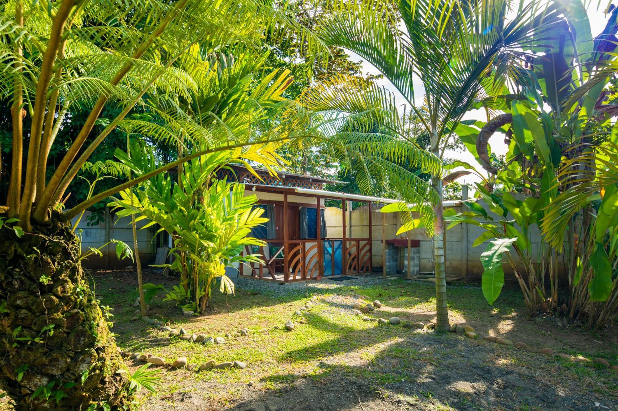 Casa Blanca Beachfront House With Shared Pool Access Pangea Lodge マンサニージョ エクステリア 写真